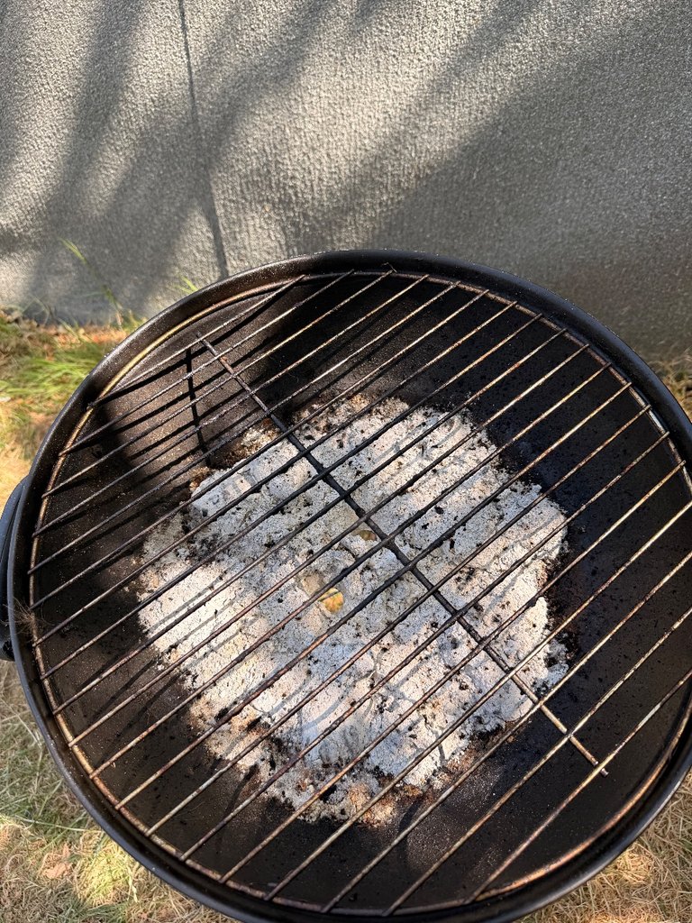 D0 bbq — 8.3/10 Guest Ready