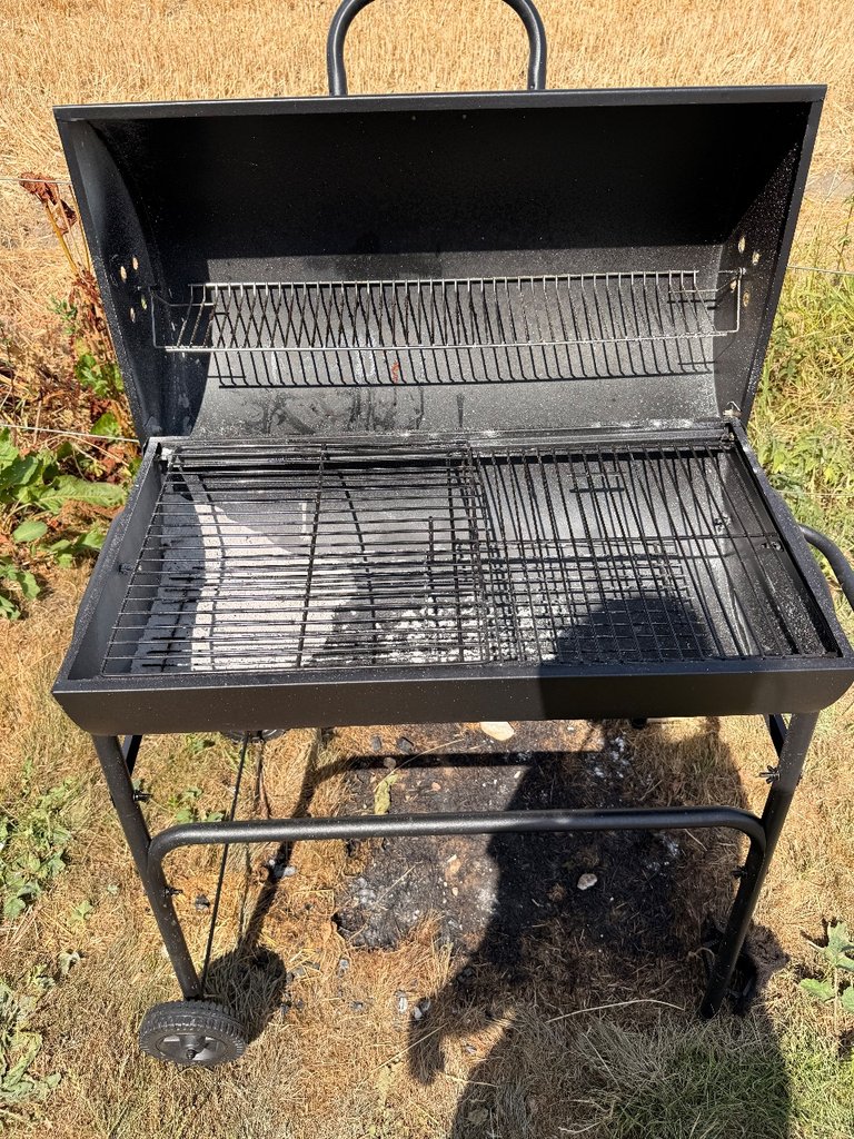 D1 bbq — 8.0/10 Guest Ready