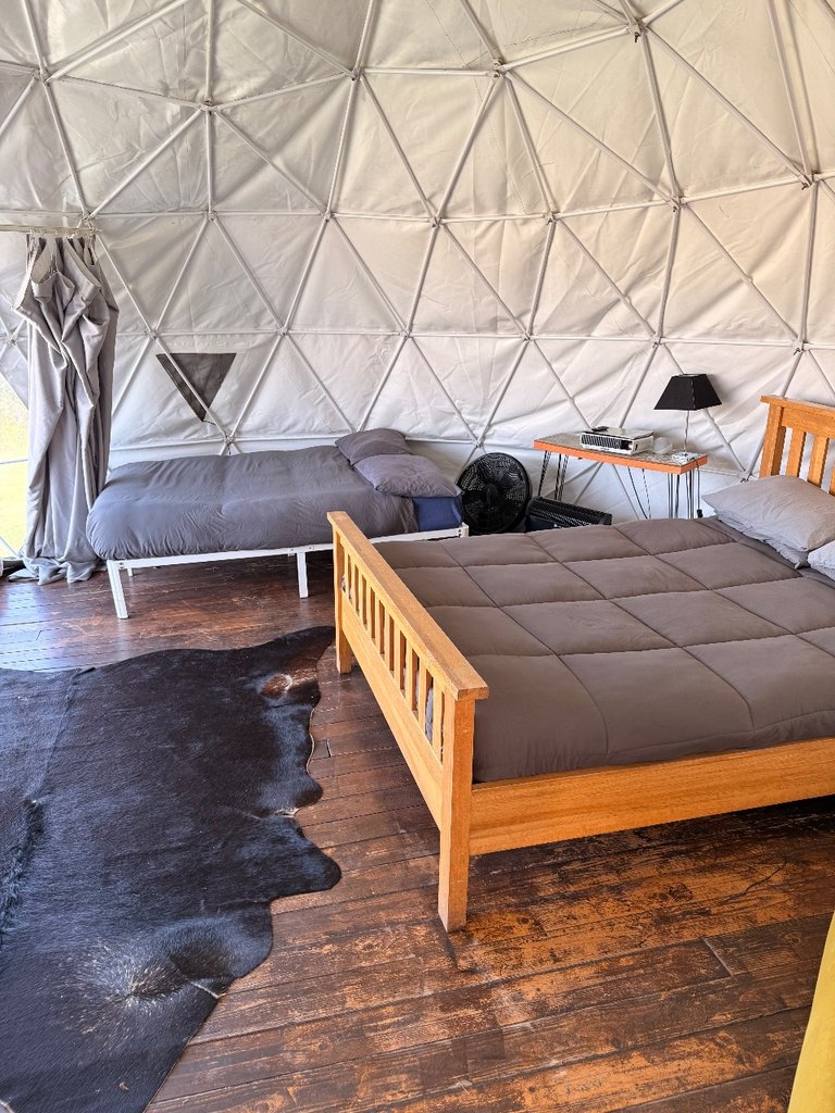 D1 bedding — 8.2/10 Guest Ready