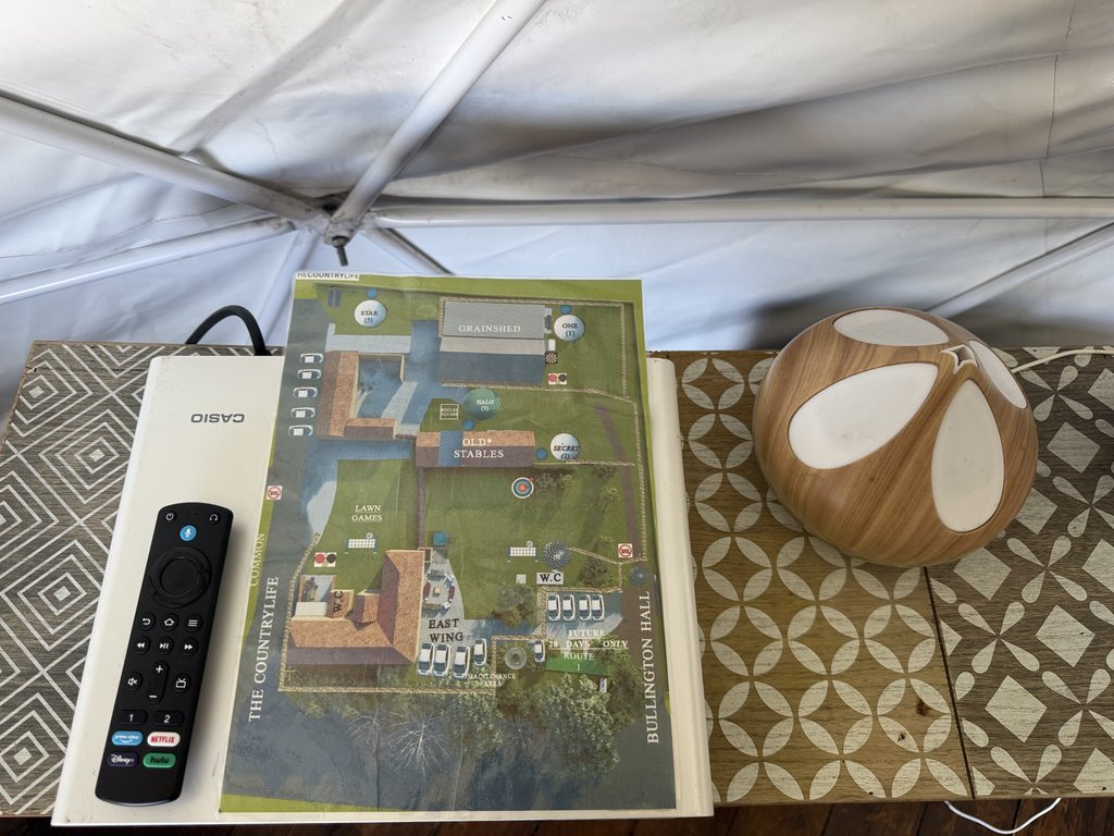 D1 remote — 8.5/10 Guest Ready