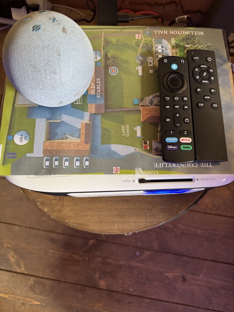 D1 remote — 8.5/10 Guest Ready