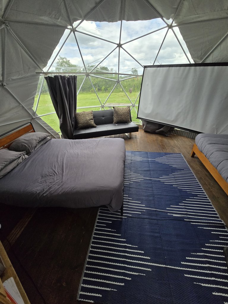 D2 bedding — 8.0/10 Guest Ready