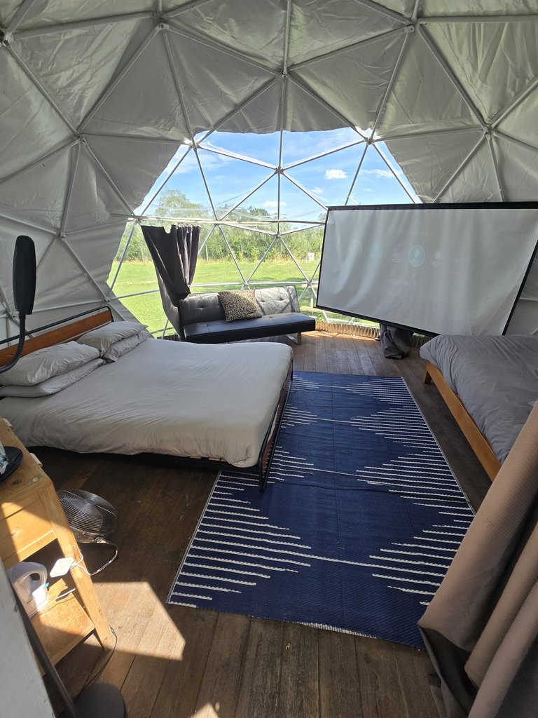 D2 bedding — 8.0/10 Guest Ready