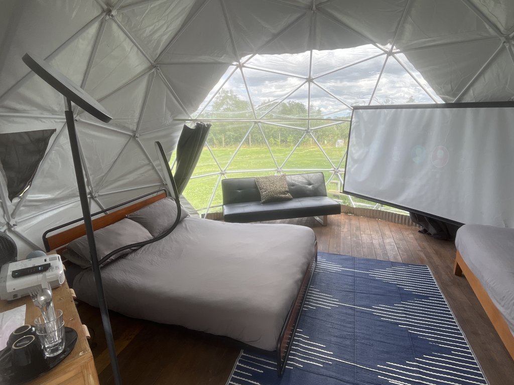 D2 bedding — 8.0/10 Guest Ready