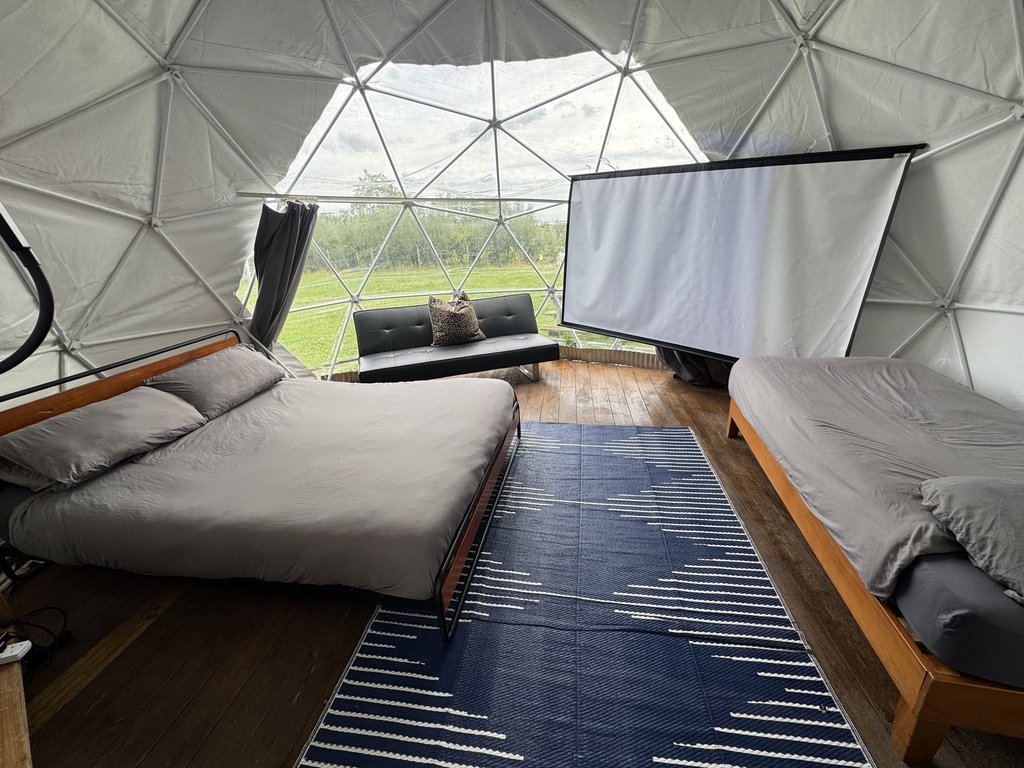 D2 bedding — 8.0/10 Guest Ready