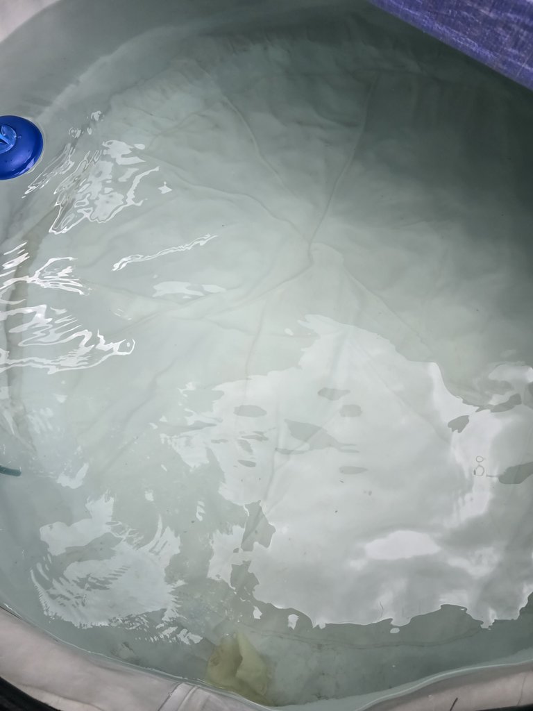 D2 hottub — 8.0/10 Guest Ready