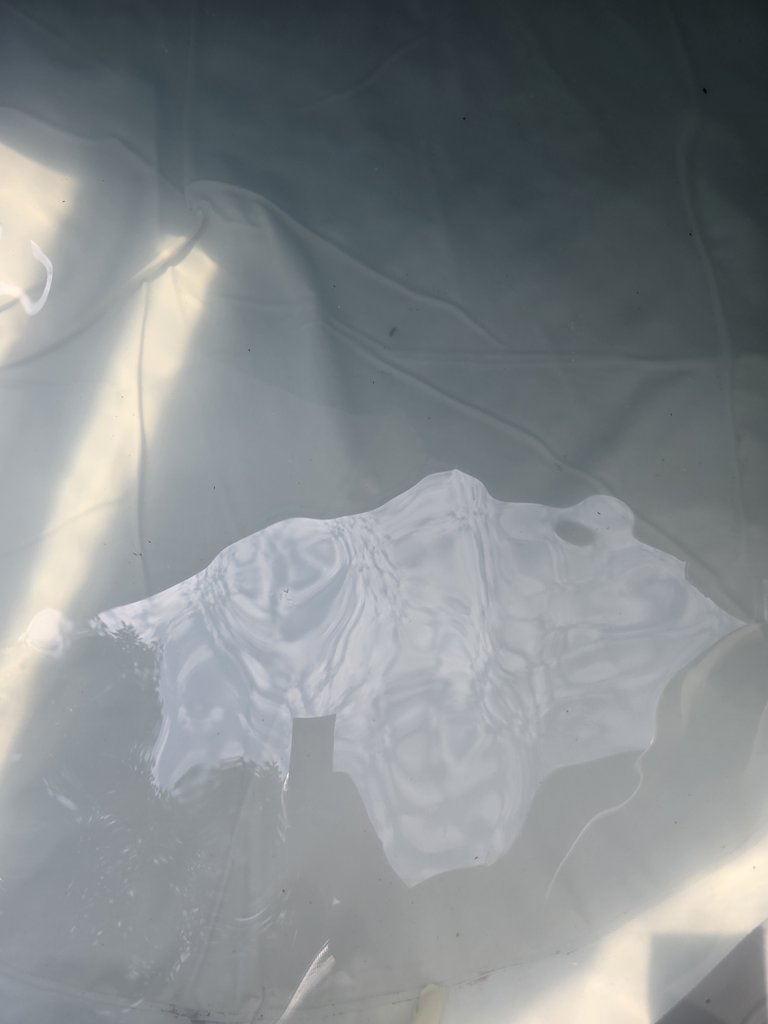 D2 hottub — 8.5/10 Guest Ready