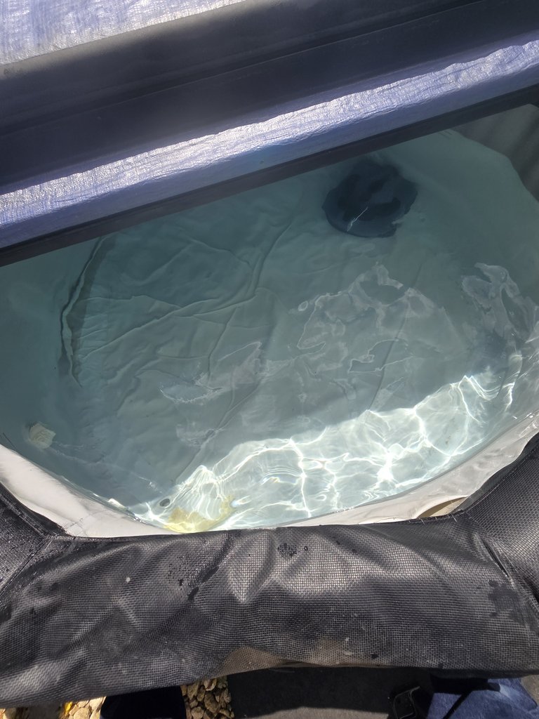 D2 hottub — 8.0/10 Guest Ready
