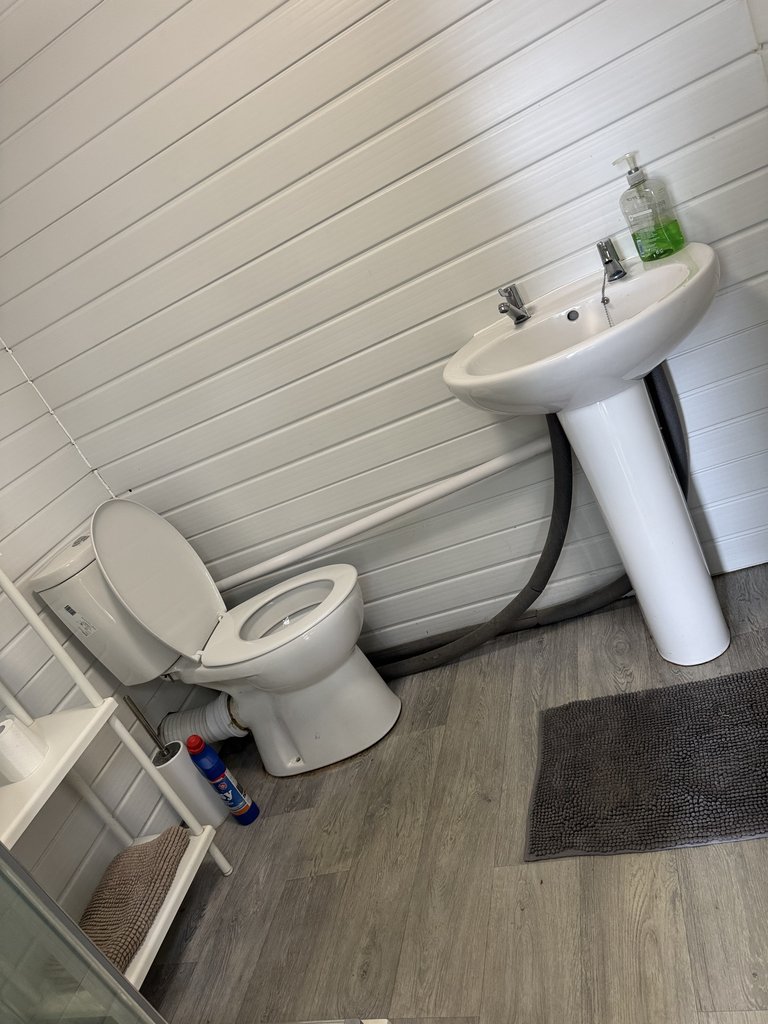D2 toilet — 8.0/10 Guest Ready