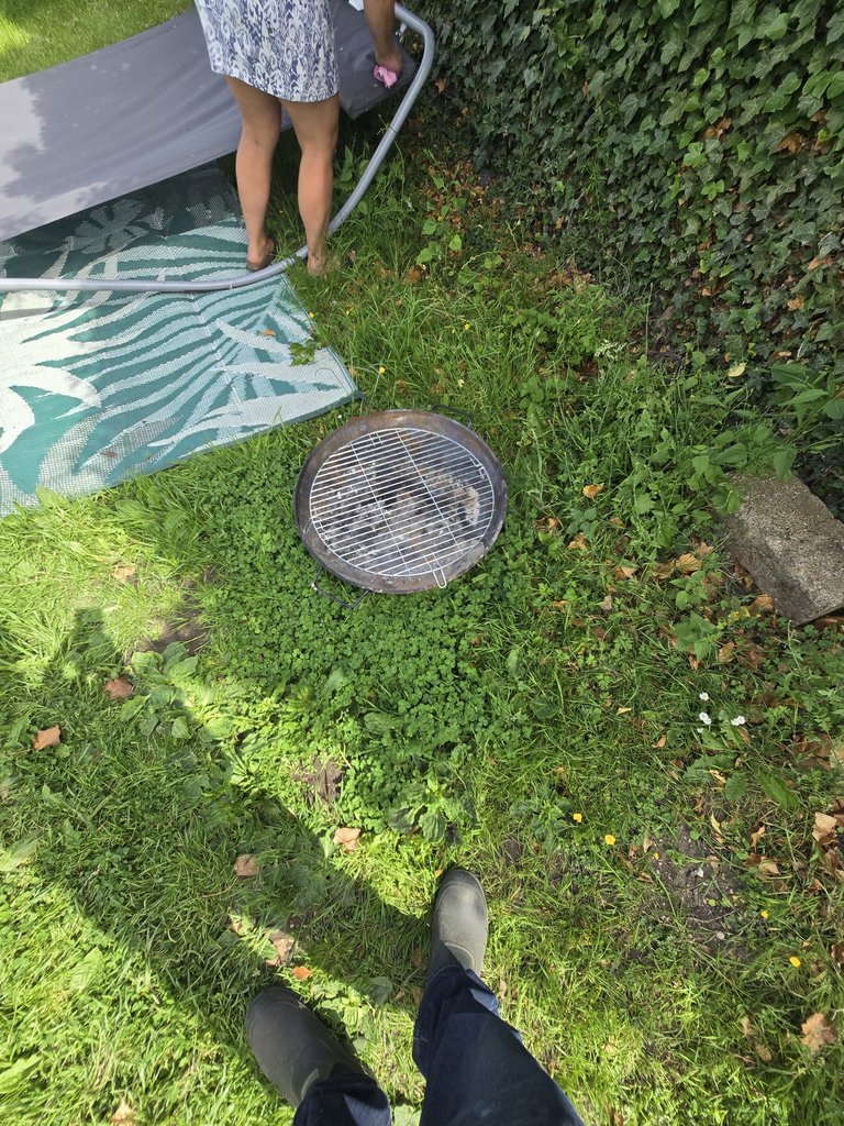 D3 bbq — 7.5/10 Guest Ready