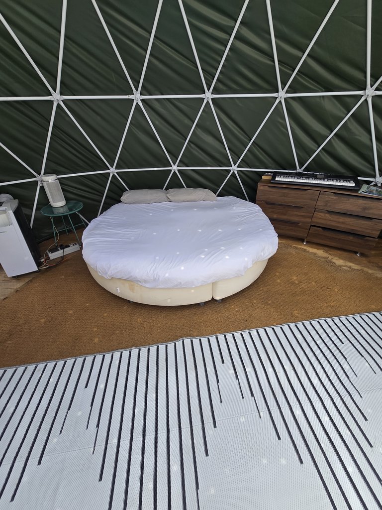 D3 bedding — 7.5/10 Guest Ready
