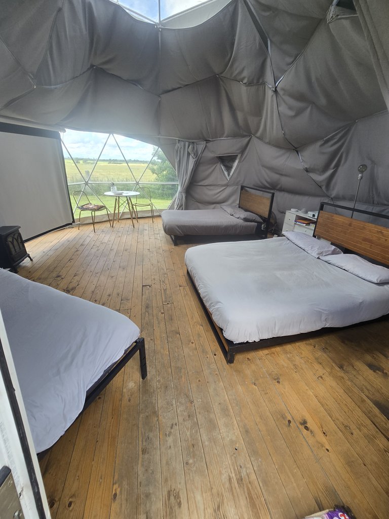 D5 bedding — 7.5/10 Guest Ready