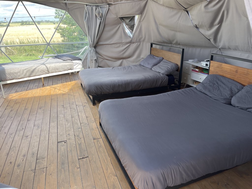 D5 bedding — 7.5/10 Guest Ready