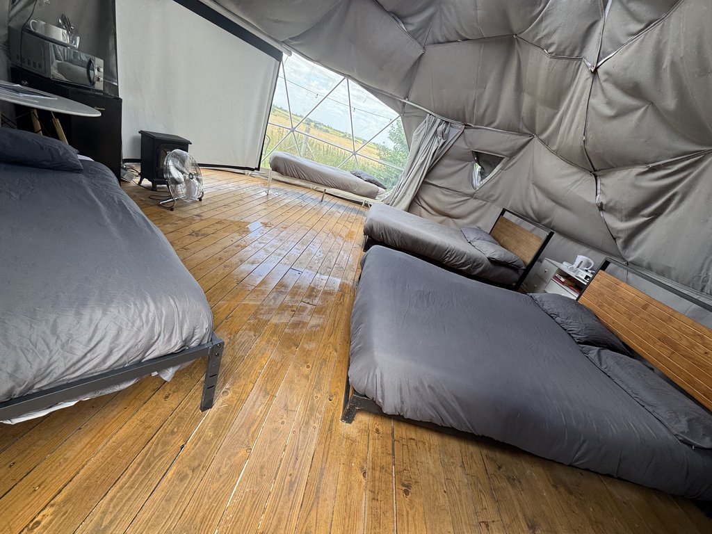 D5 bedding — 8.0/10 Guest Ready