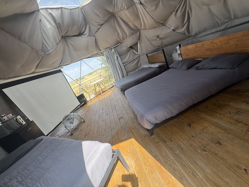 D5 bedding — 7.5/10 Guest Ready