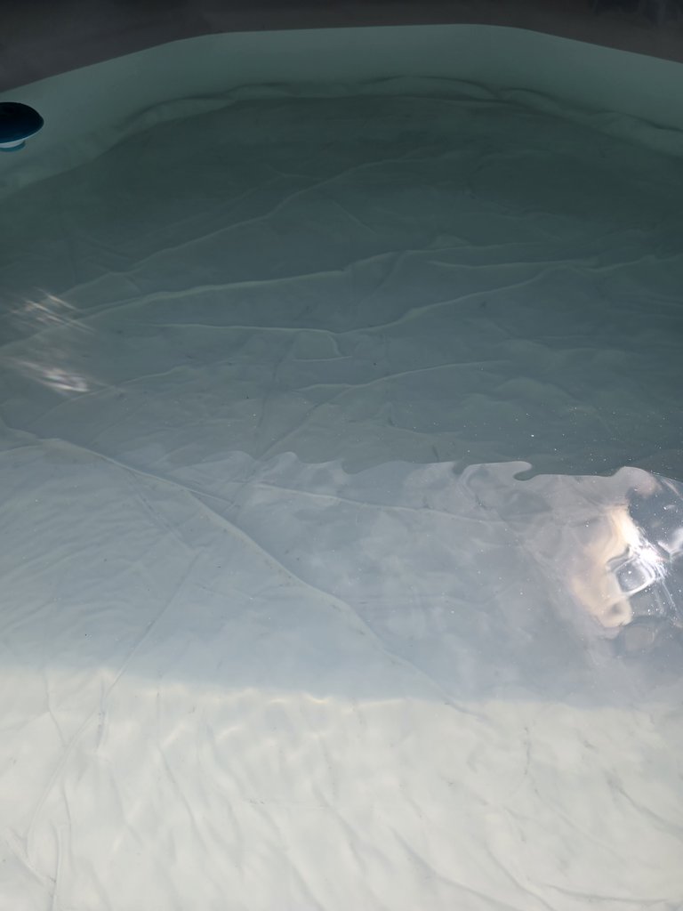D5 hottub — 7.5/10 Guest Ready