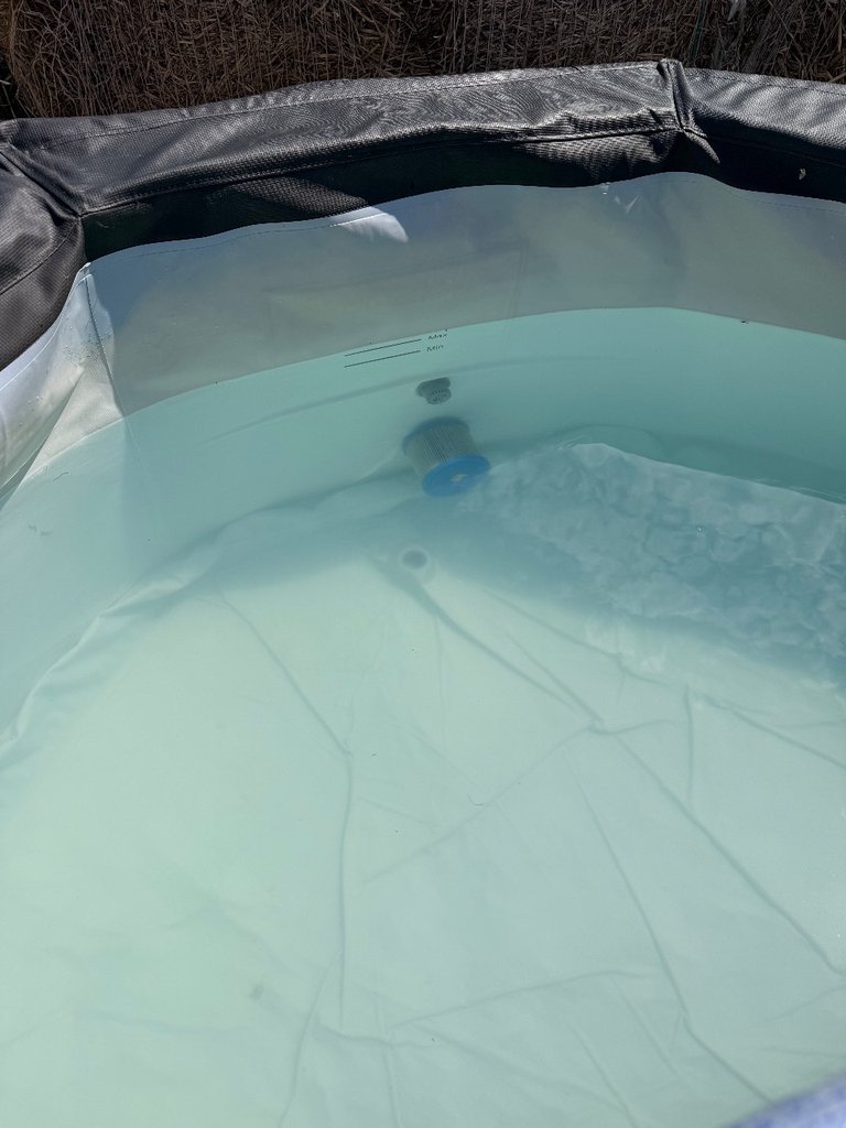 D5 hottub — 7.8/10 Guest Ready
