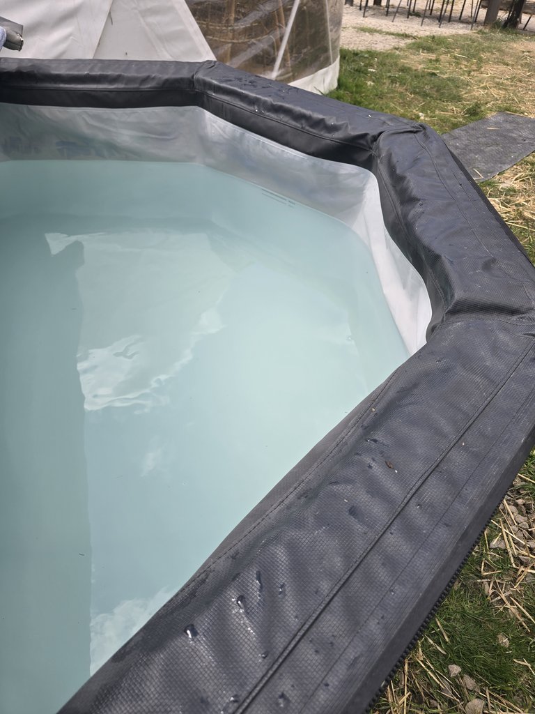 D5 hottub — 8.0/10 Guest Ready