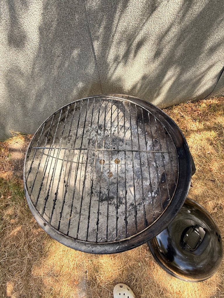D0 bbq — 8.0/10 Guest Ready