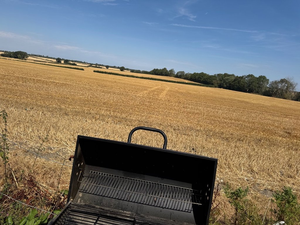 D1 bbq — 8.3/10 Guest Ready