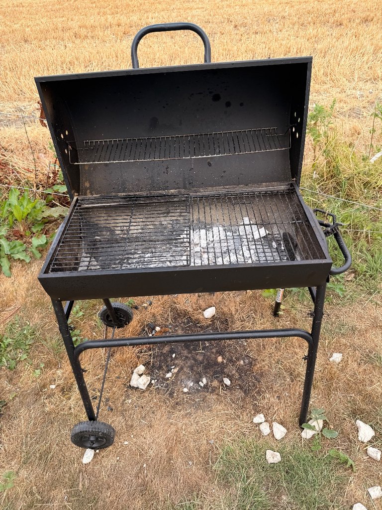 D1 bbq — 8.2/10 Guest Ready