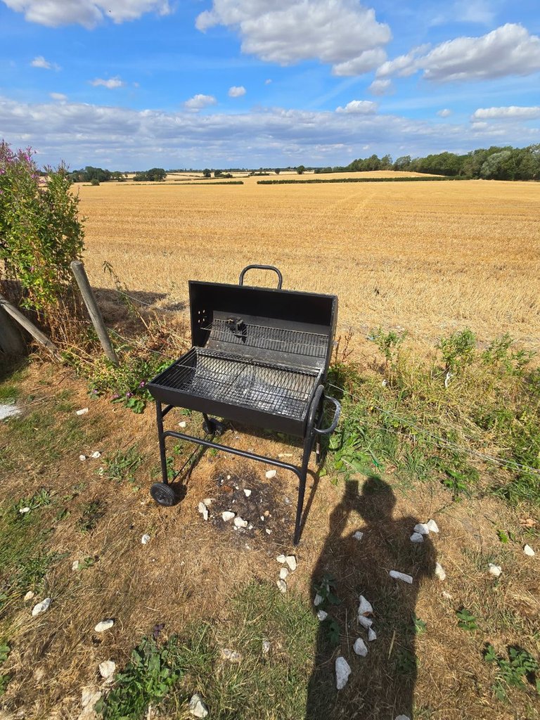D1 bbq — 8.5/10 Guest Ready