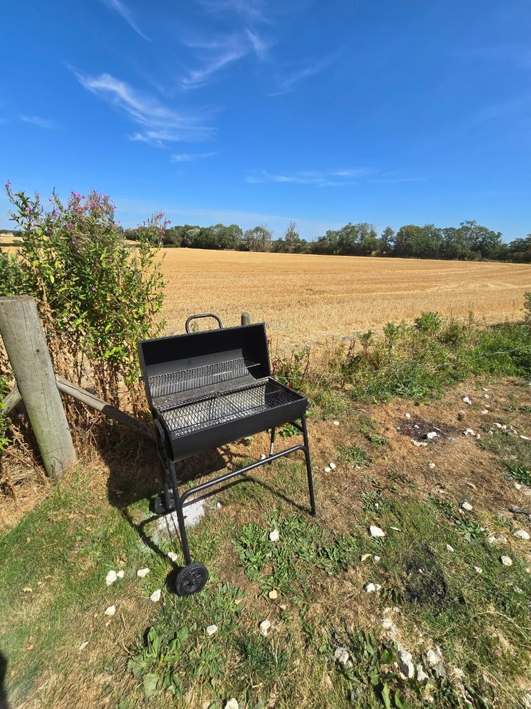 D1 bbq — 8.5/10 Guest Ready