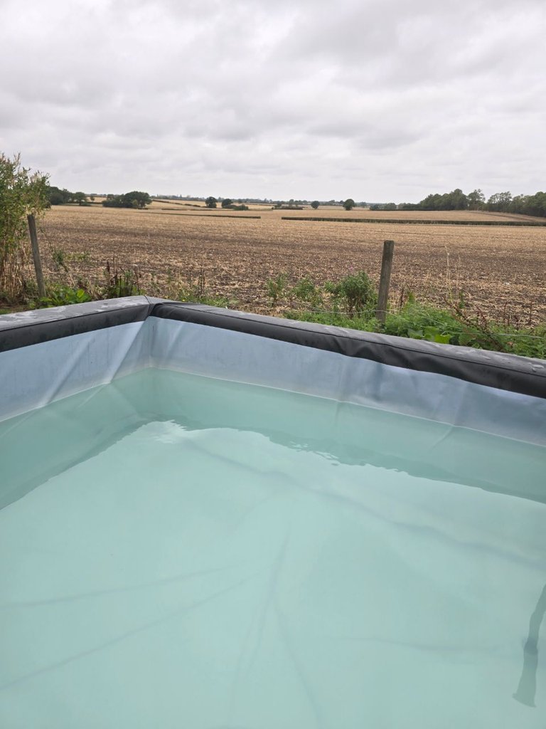 D1 hottub — 8.5/10 Guest Ready