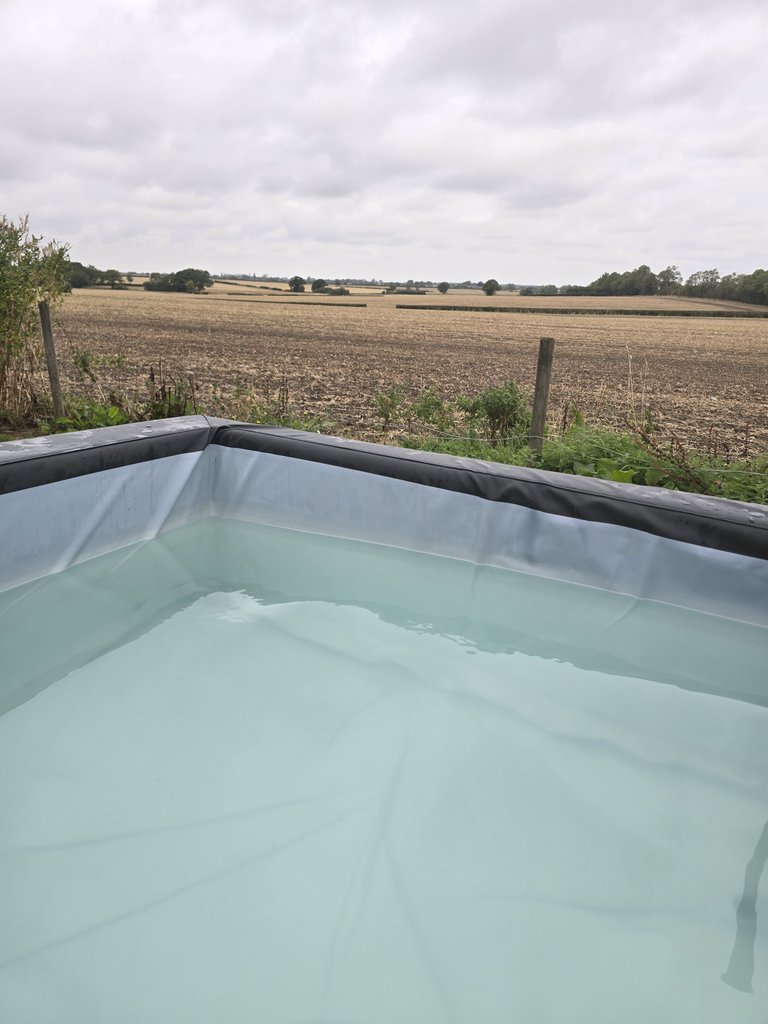 D1 hottub — 8.5/10 Guest Ready