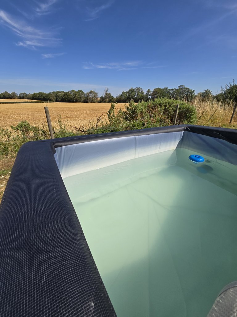 D1 hottub — 8.5/10 Guest Ready
