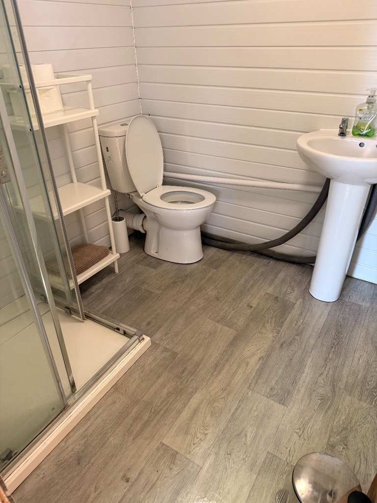 D2 toilet — 8.0/10 Guest Ready