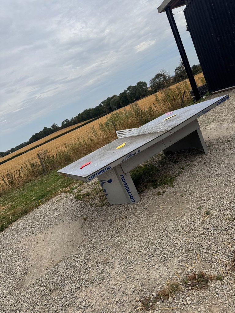 D5 activities near dome — 8.3/10 Guest Ready