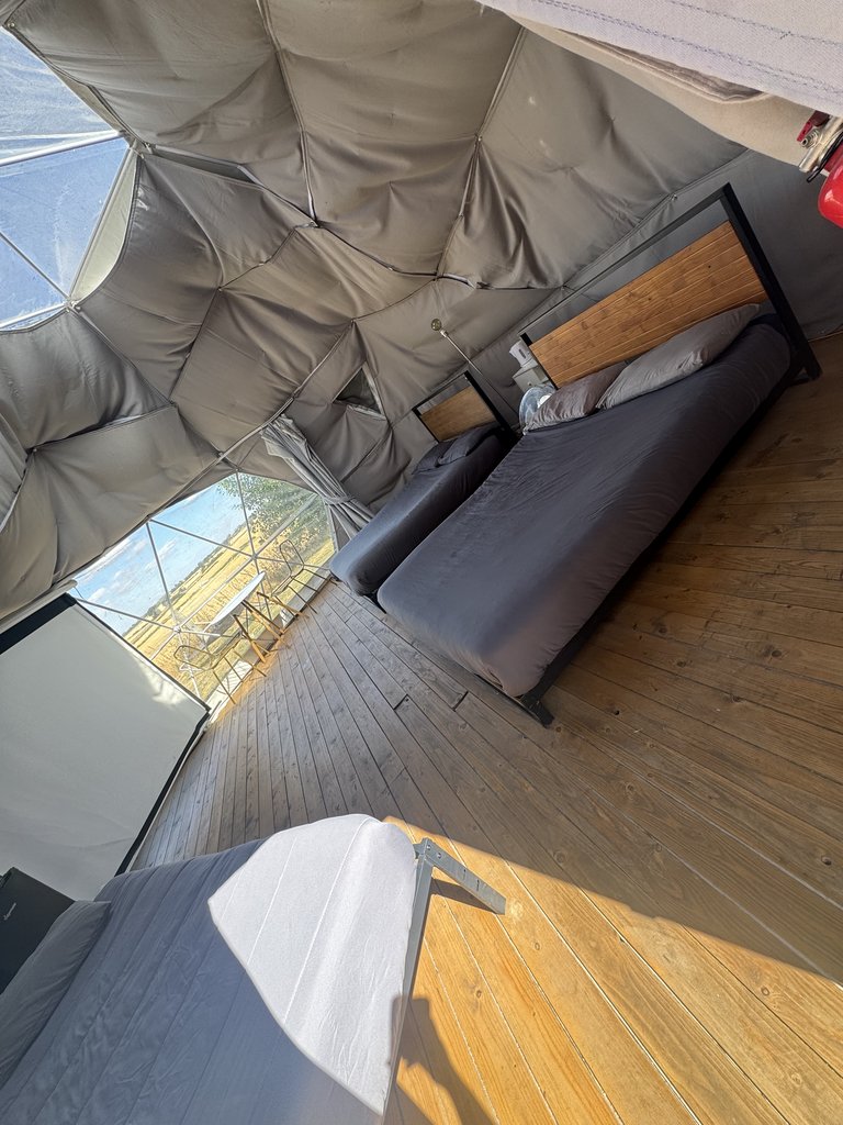 D5 bedding — 7.5/10 Guest Ready