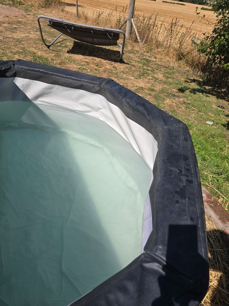 D5 hottub — 8.5/10 Guest Ready