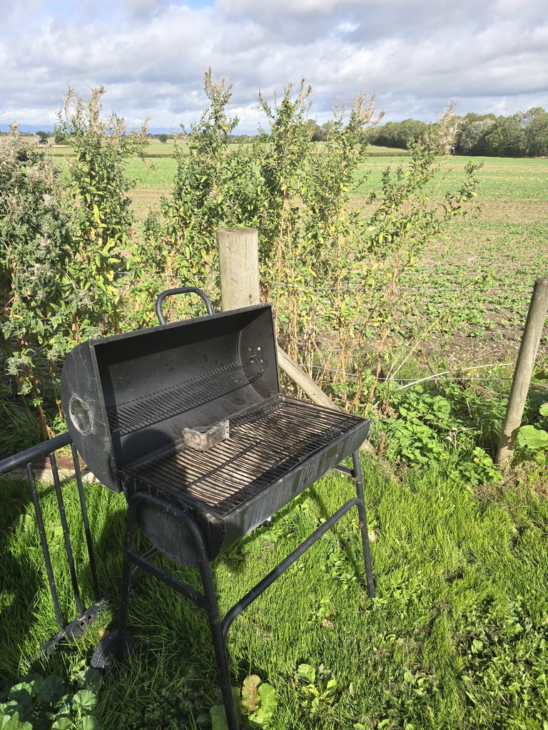 D1 bbq — 8.5/10 Guest Ready