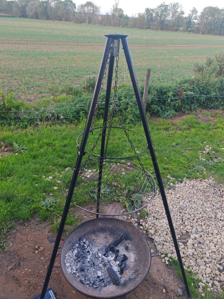 D1 bbq — 8.5/10 Guest Ready