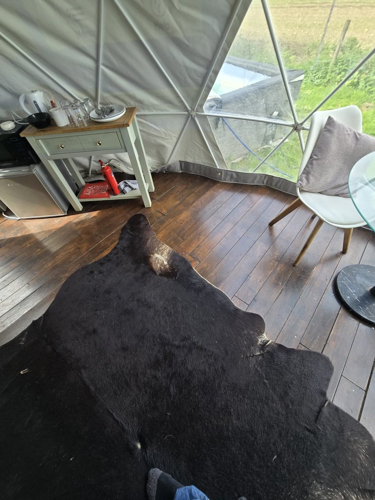 D1 hottub — 8.3/10 Guest Ready