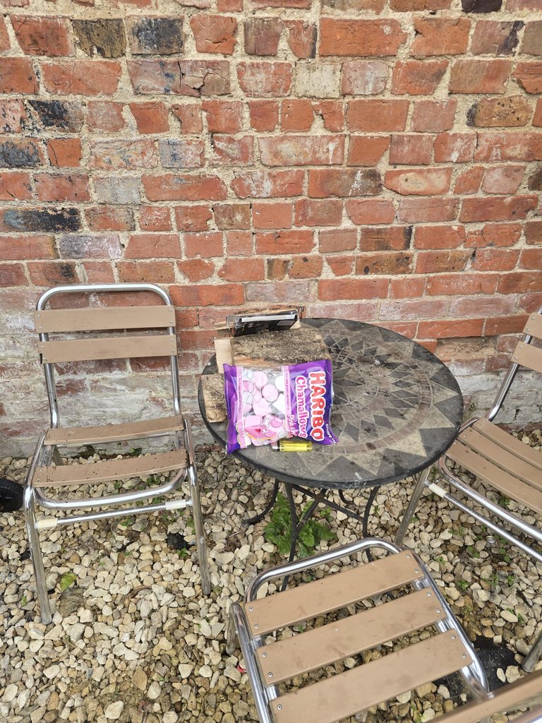 D2 bbq — 8.5/10 Guest Ready