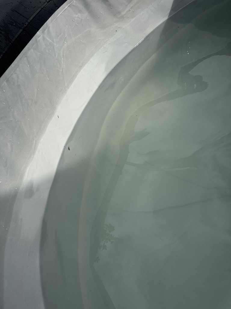 D5 hottub — 8.3/10 Guest Ready