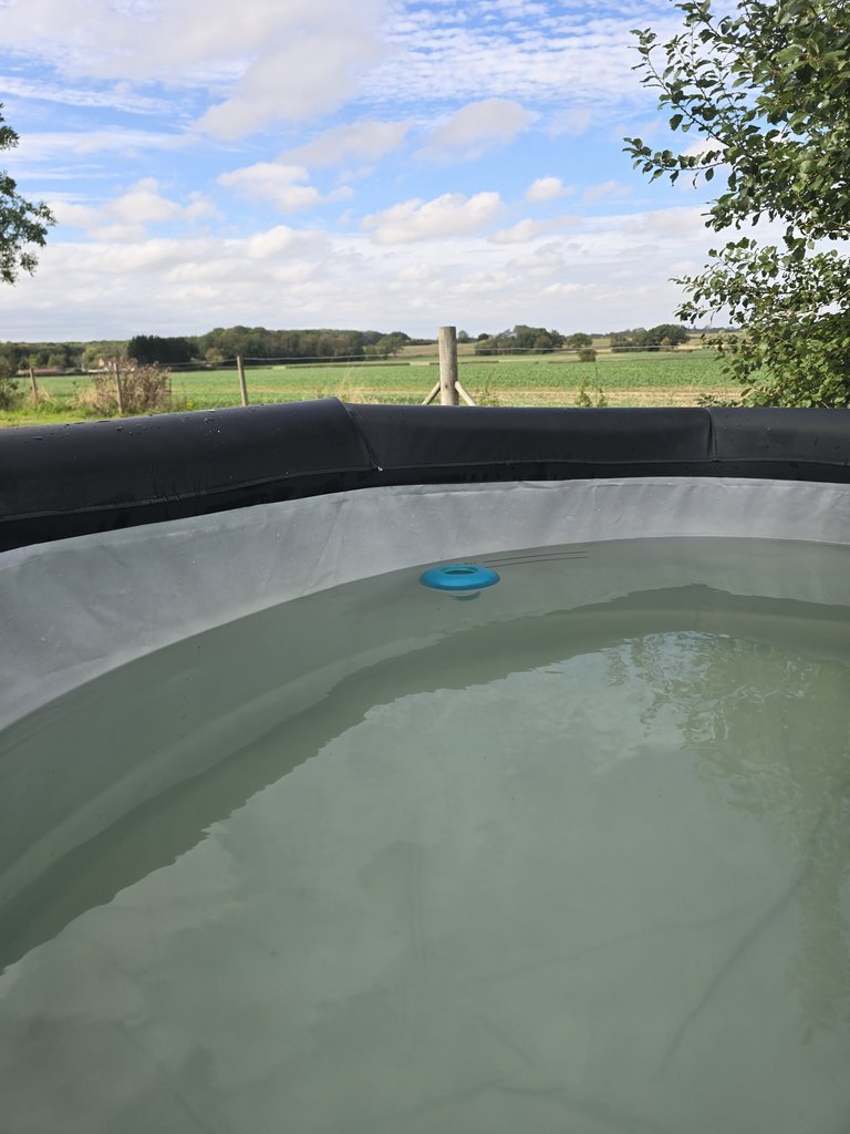 D5 hottub — 8.5/10 Guest Ready