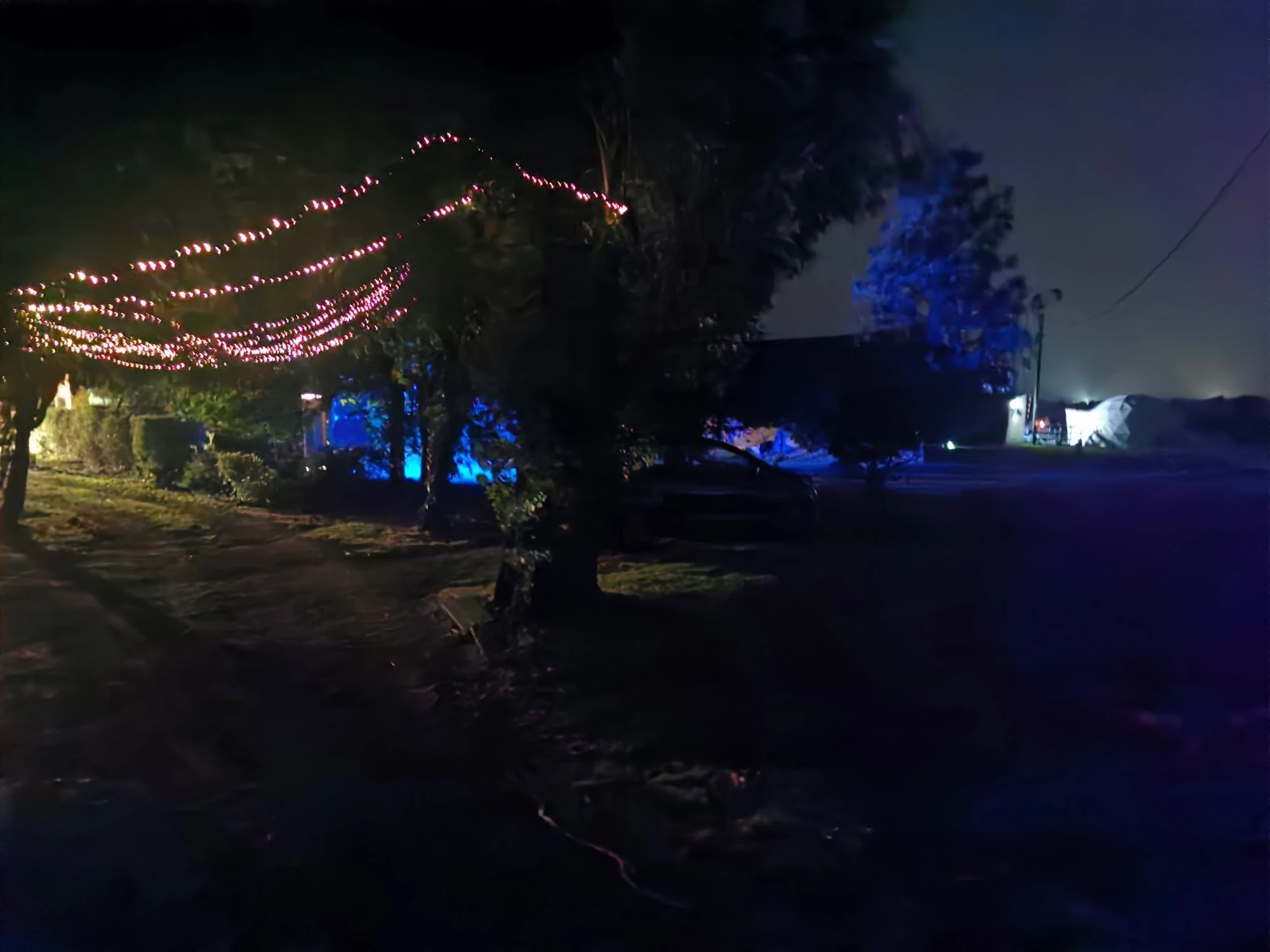 Festoon canopy